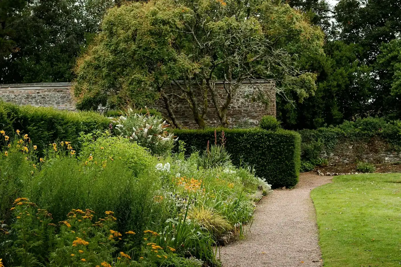 An English garden in summer