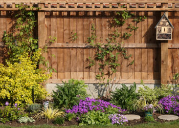 A well-maintained wooden fence in a lush backyard, surrounded by vibrant purple flowers and green bushes, with a charming birdhouse.