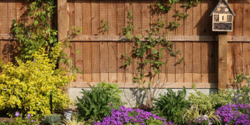 A well-maintained wooden fence in a lush backyard, surrounded by vibrant purple flowers and green bushes, with a charming birdhouse.