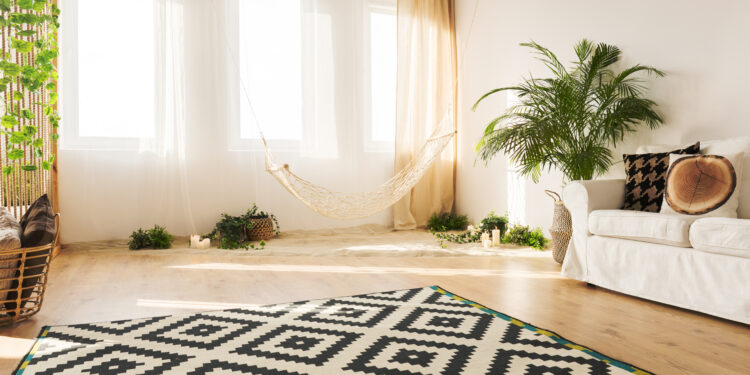 Clean living room, with a clean carpet and geometric rug.