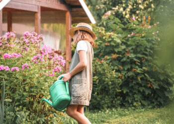 Woman watering flowers in a tidy, blooming garden on a sunny day, with no wasps in sight.