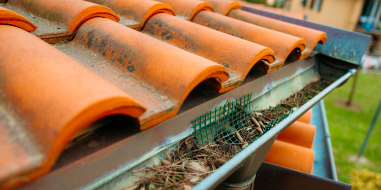 Clogged roof gutter filled with leaves and debris beneath terracotta roof tiles.