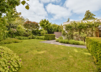 Tidy garden with trimmed hedges and neat lawn under a bright August sky.