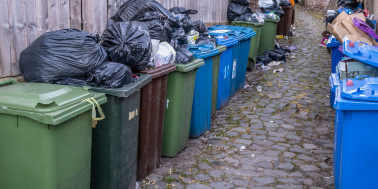 Overflowing outdoor bins and rubbish bags in a residential alley during summer.