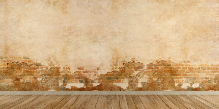 Close-up of an interior wall with severe damp patches and peeling plaster revealing brickwork, illustrating common household damp problems.