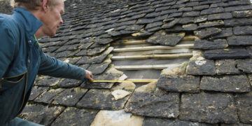 A roofer inspecting and measuring a large gap in a traditional stone-tiled roof, where several loose and missing tiles expose the wooden battens beneath.