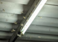 A view inside a UK loft with cluster flies gathering near a window frame, showing a common seasonal infestation.