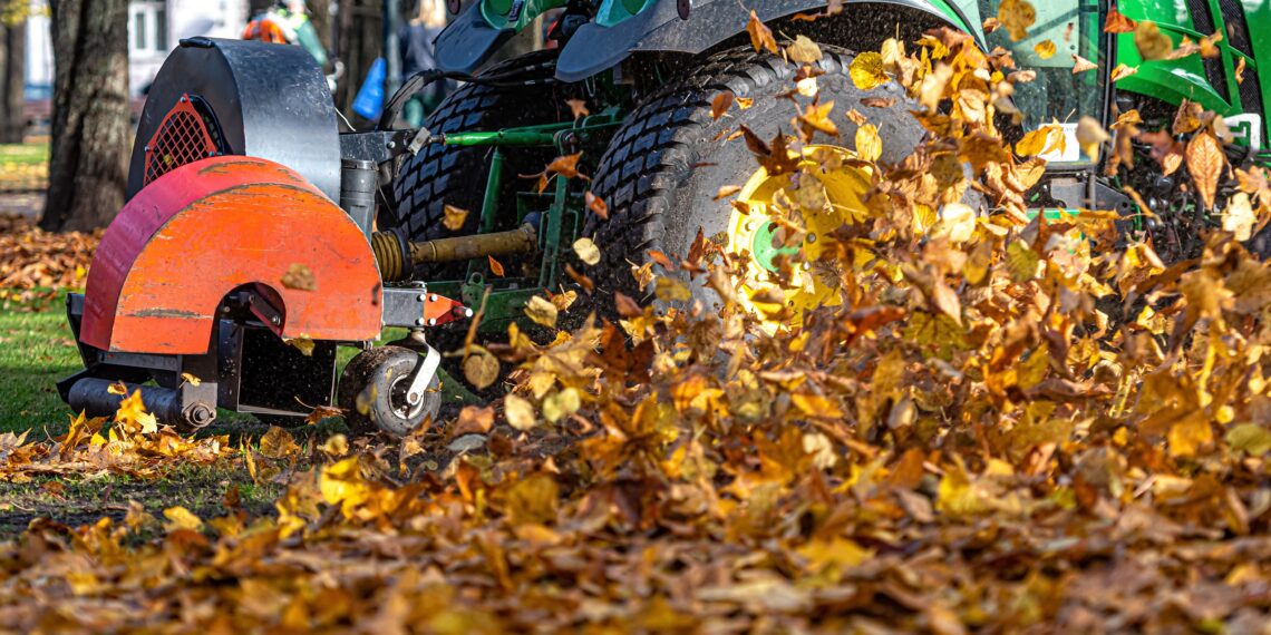 A tidy garden path cleared of autumn leaves, with a rake resting nearby, symbolising simple and effective leaf clearance.