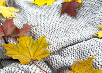 A person carefully vacuuming a living room carpet during autumn, with warm lighting and fallen leaves visible outside the window.