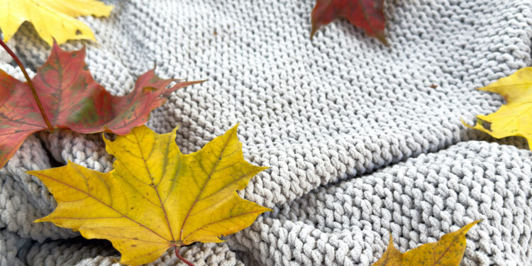 A person carefully vacuuming a living room carpet during autumn, with warm lighting and fallen leaves visible outside the window.