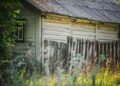 A well-maintained wooden fence and garden shed secured before a storm, surrounded by tidy greenery under a cloudy UK sky.