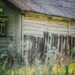 A well-maintained wooden fence and garden shed secured before a storm, surrounded by tidy greenery under a cloudy UK sky.
