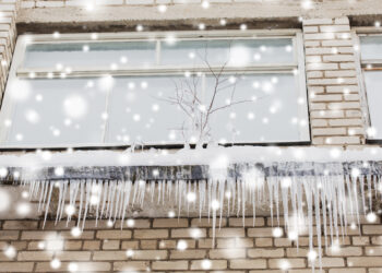 A homeowner sits by a window with a mug of tea on a cold winter day, enjoying the warmth inside after upgrading their double-glazed windows.