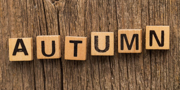 A professional chimney sweep cleaning a brick fireplace in a cosy UK home during autumn, with tools neatly arranged beside the hearth.