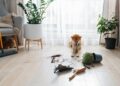 Pet dog sitting next to spilled soil and overturned plant on a carpeted living room floor, showing common pet-related messes at home