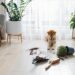 Pet dog sitting next to spilled soil and overturned plant on a carpeted living room floor, showing common pet-related messes at home