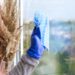 A UK home’s large windows being cleaned professionally, showing clear glass and sunlight streaming into a bright, well-maintained interior.