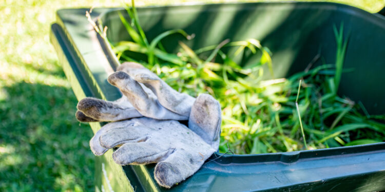 Green garden waste bin filled with fresh grass clippings and weeds, with a pair of gardening gloves resting on the edge in a sunny garden.