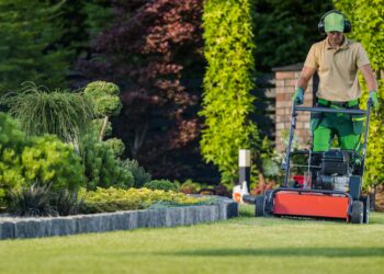 Person mowing a green lawn in a residential garden using a push lawnmower on a sunny day.