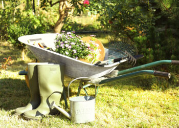 Wheelbarrow filled with flowers and gardening tools beside green rubber boots and a watering can in a sunny garden.