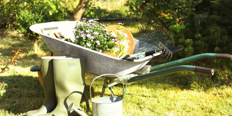 Wheelbarrow filled with flowers and gardening tools beside green rubber boots and a watering can in a sunny garden.