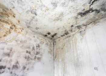Severe black mould growth on a damp interior wall and ceiling corner with peeling paint and water stains