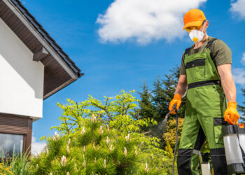 Professional pest control worker wearing protective gear spraying insecticide in a residential garden