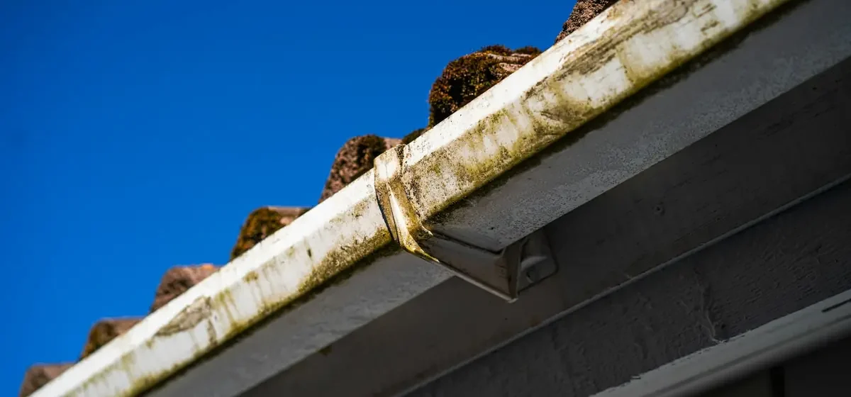 Dirty roof gutters seen against a blue sky