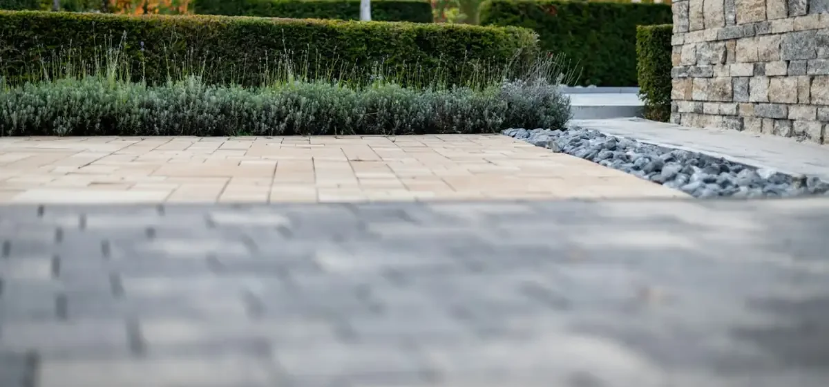 Block paved garden path running between clipped hedges