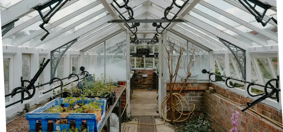 Seed trays on a bench inside a glass greenhouse