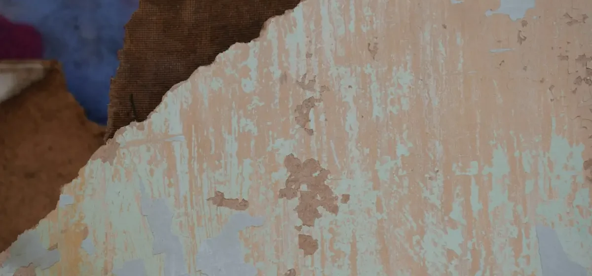 Pale green paint peeling away from damaged brown plaster