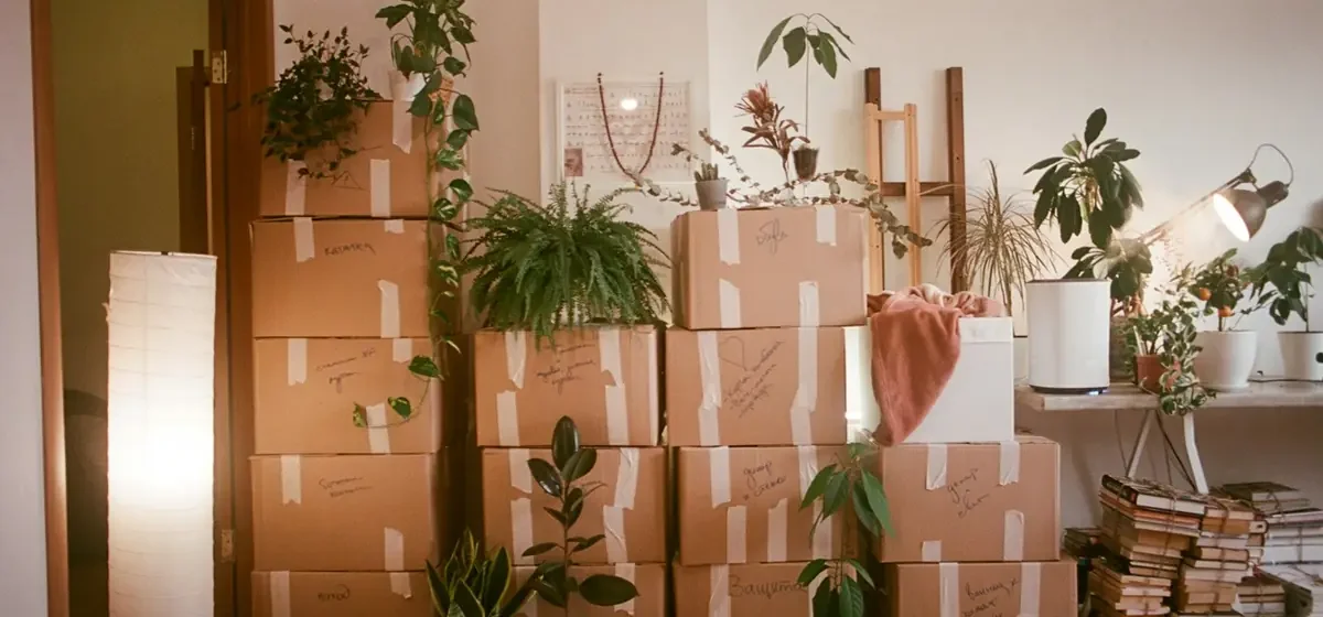 Living room filled with packed moving boxes and houseplants