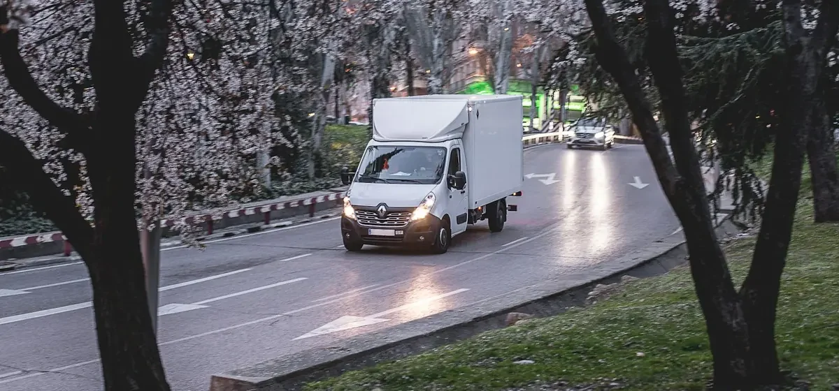 White removal van parked on a tree-lined road