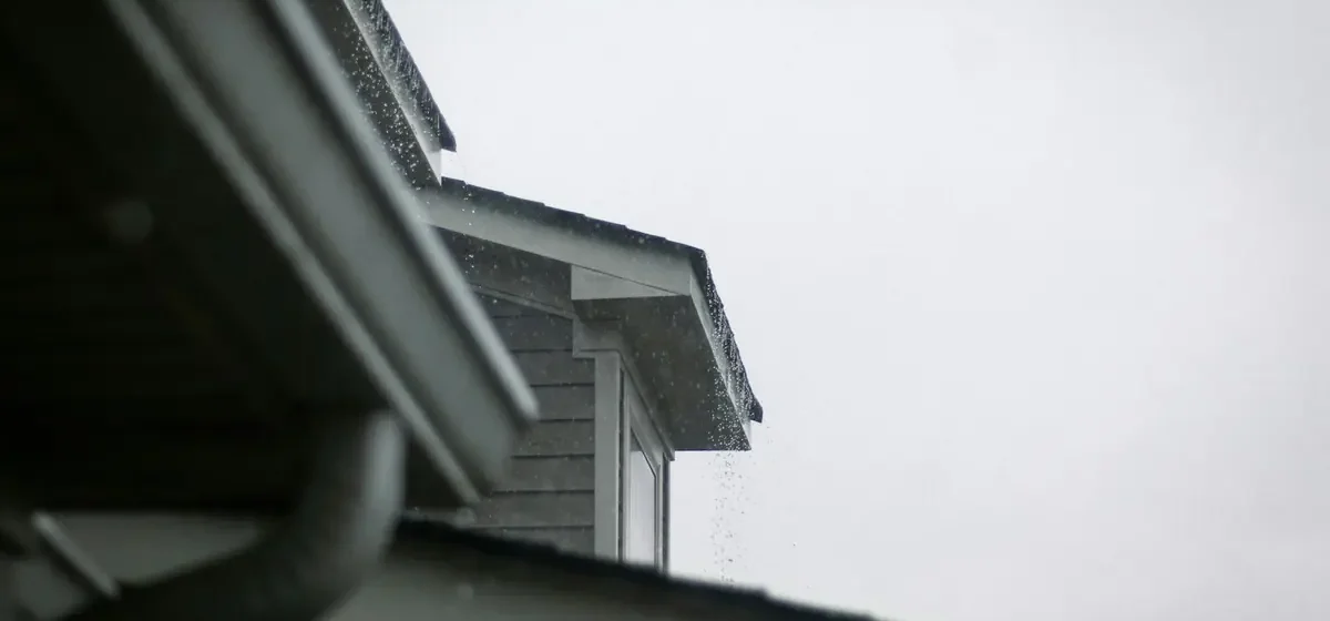 House roof edge and guttering seen against a grey sky