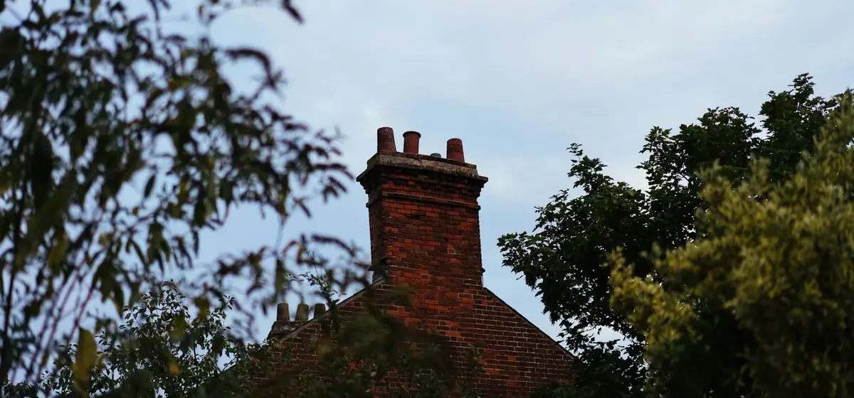 Red brick chimney stack rising above green tree branches